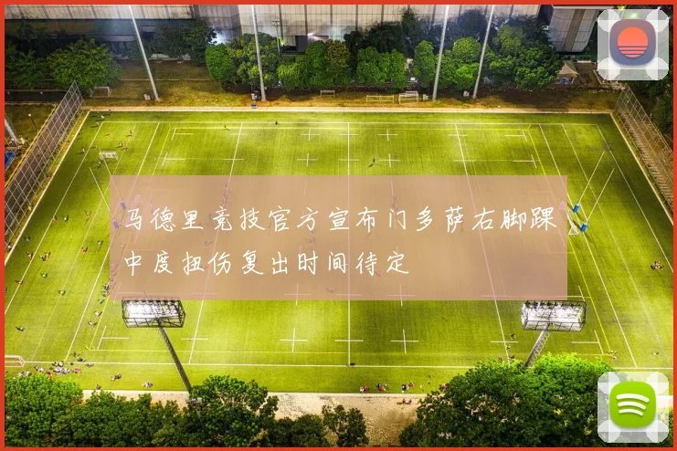 马德里竞技官方宣布门多萨右脚踝中度扭伤复出时间待定