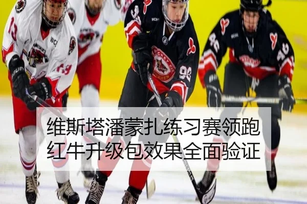 维斯塔潘蒙扎练习赛领跑 红牛升级包效果全面验证