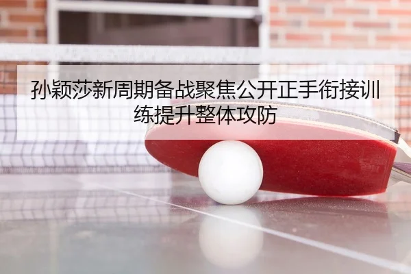 孙颖莎新周期备战聚焦公开正手衔接训练提升整体攻防